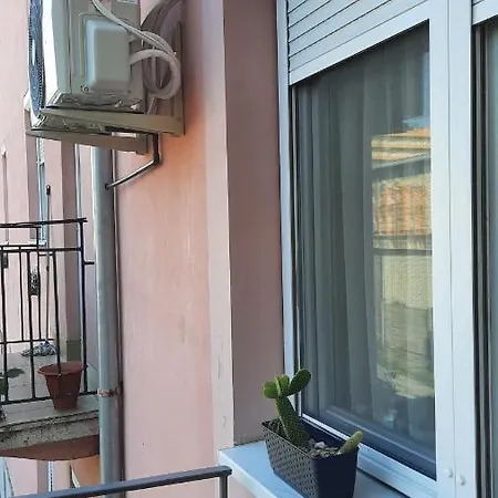 Pete Lajos Design Kaposvár