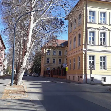 Pete Lajos Design Apartment Kaposvar