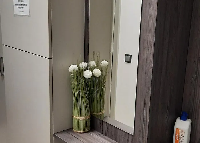 Pete Lajos Design Kaposvár